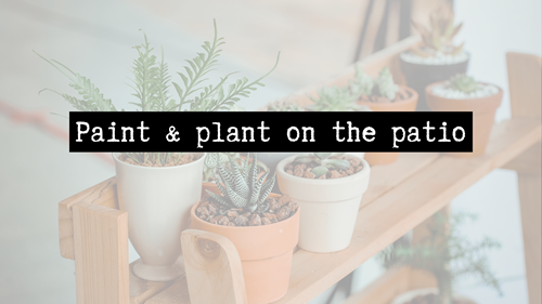 potted plants on a shelf with words "Paint and plant on the patio"